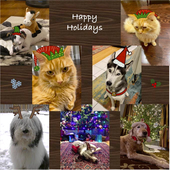Pets wearing hats, bows, and antlers wishing happy holidays to all.