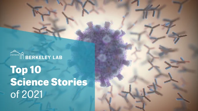 An artistic rendering of antibodies surrounding a SARS-CoV-2 particle.(Credit: ktsdesign/Shutterstock)