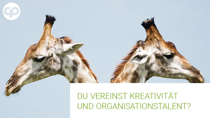 Job als Marketing-Assistenz