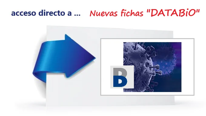 Imagen de coronavirus