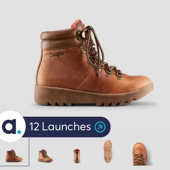 A photo of a leather ankle boot.