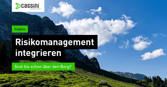 Risikomanagement 