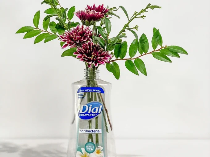 Dial White Tea Liquid Hand Soap bottle repurposed into a flower vase.