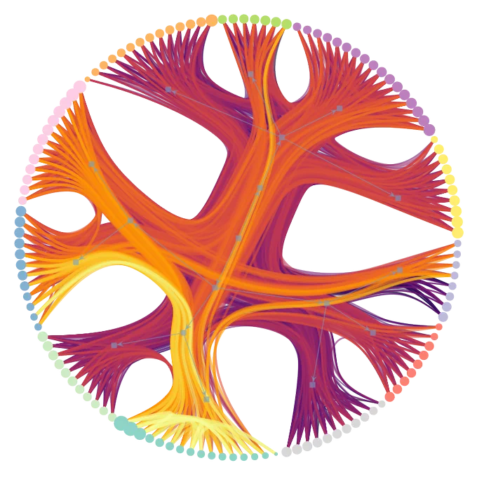 Fit of the hierarchical SBM for a weighted food web. More here: https://graph-tool.skewed.de/static/doc/demos/inference/inference.html