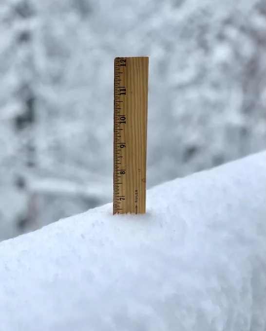 A wood ruler stuck into a pile of snow measuring 6.5 inches.