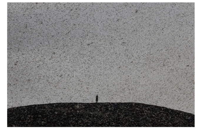 A man engulfed by a swarm of desert locusts, stands on top of a hill near Nanyuki, Kenya, January 30, 2021. Reuters photographer Baz Ratner https://tgam.ca/3HCYBc5 