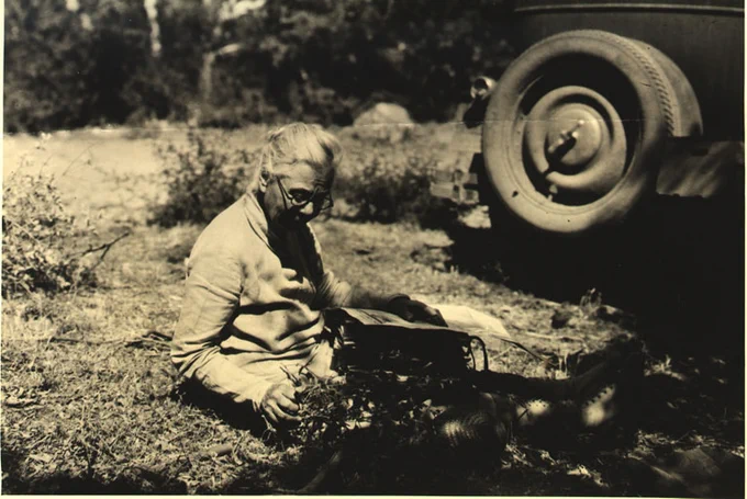 In an old photograph, an elderly Eastwood sits on the ground processing botanical specimens.  A car tire is visible in the background. 