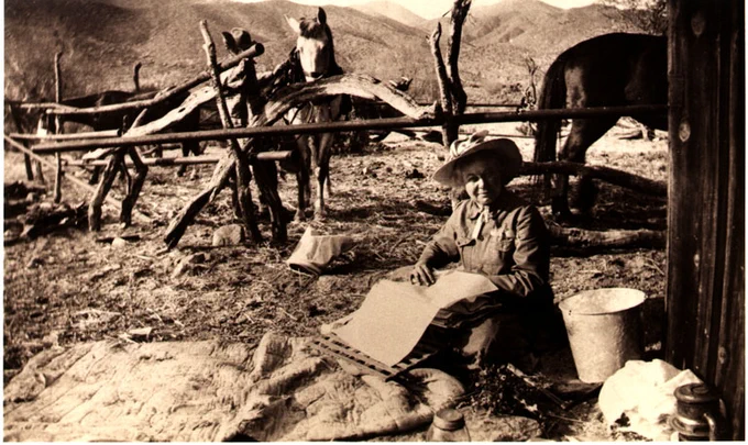 In an old photograph, Eastwood sits with a plant press in her lap, processing botanical specimens.  Several horses are visible in the background. 