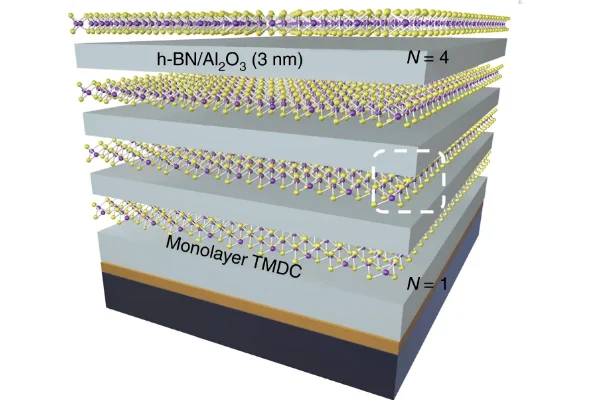 Image of multiple layers of a gray substance with purple and yellow molecules in-between, with the gray labeled h-BN/Al2O3 (3 nm) and the molecules labeled monolayer TMDC
