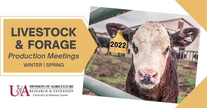 Hereford calf with ear tag next to words Livestock and Forage Production meetings, winter and spring