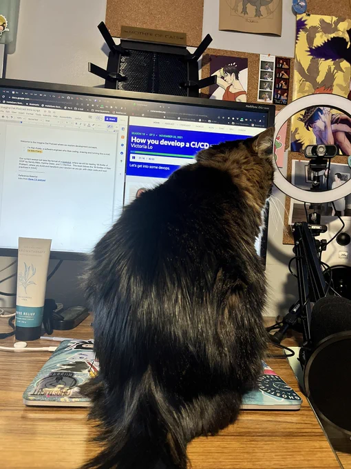 A cat sitting directly in front of a computer monitor… thanks buddy.