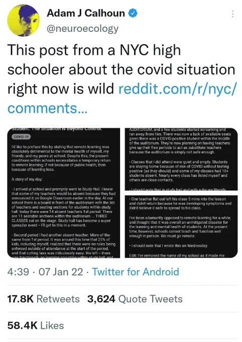 Screenshot of Tweet from Adam Calhoun re NYC high schooler' Reddit post describing a day at his school - link in Tweet