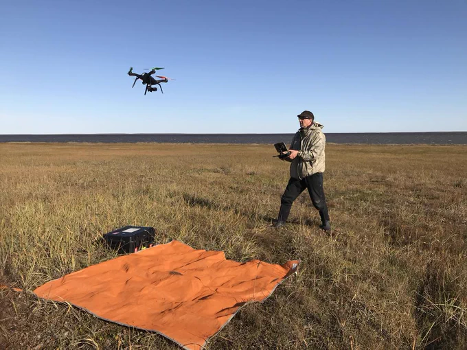USGS wildlife biologist, Anthony Fischbach, piloting an unmanned aerial system (UAS) for use in surveying walruses while they rest on shore.  The UAS is flown above 300 feet altitude such that it enables survey data collection with minimal risk to the walruses.