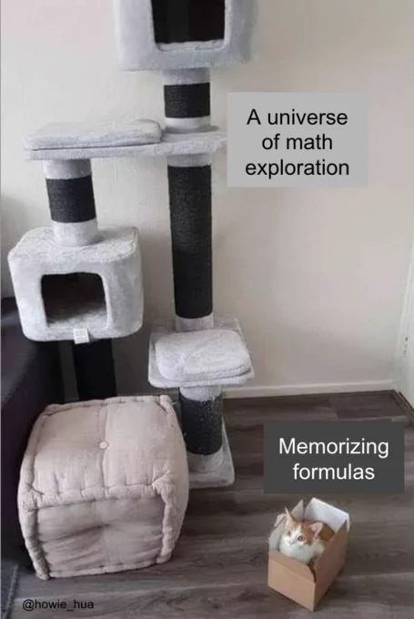 On the bottom right, there is an orange and white cat in a small cardboard box. On top of the cardboard box is a text box that says "Memorizing formulas." The majority of the image is a huge cat play area that is labeled "A universe of math exploration."