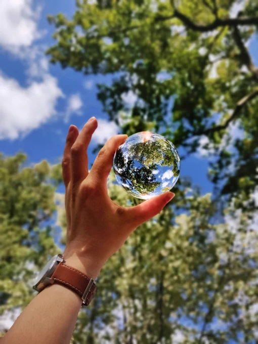 Trees and sky, hand holding glass sphere