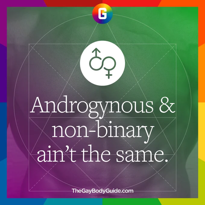 Androgynous and non-binary ain’t the same.