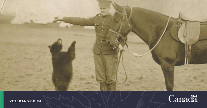 Harry Colbourn, holds onto his horse as Winnie the bear stands on her hind legs