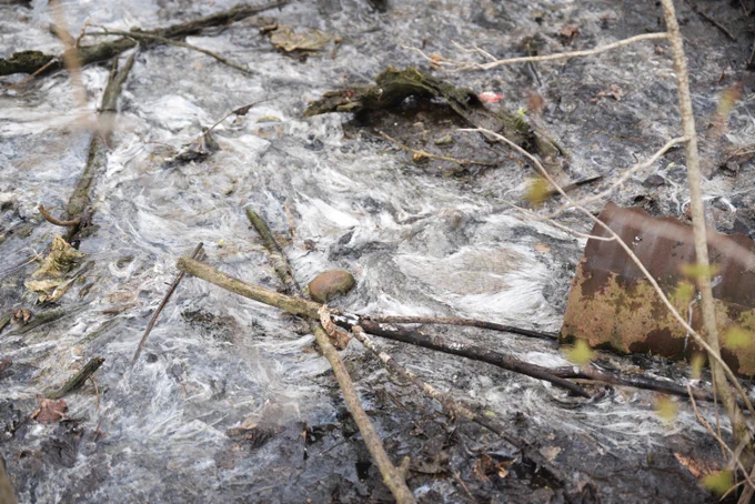 Human waste and toilet paper spill into a Michigan stream.