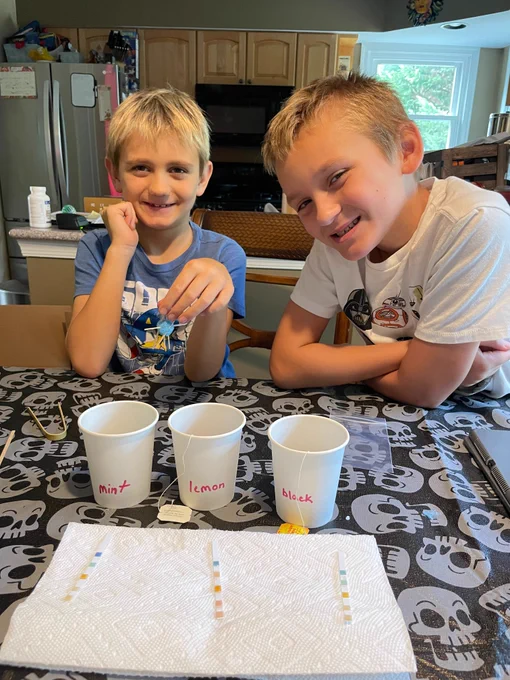 Two young boys sit at a kitchen table with three paper cups, labeled "mint," "lemon" and "black." A paper towel stretches out in front of the cups, with three multicolor testing strips, one in front of each cup.