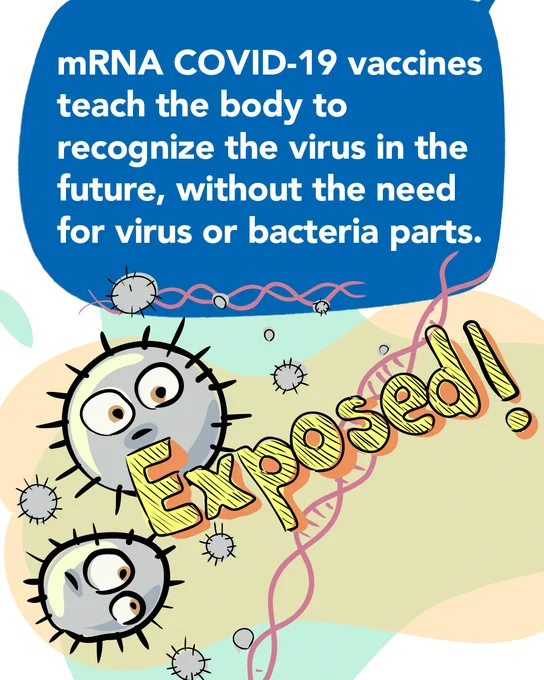 Illustration of balls with spikes on them representing COVID-19, accompanied by the word "Exposed!". Blue speech bubble above illustration says "mRNA COVID-19 vaccines teach the body to recognize the virus in the future, without the need for virus or bacteria parts.". 