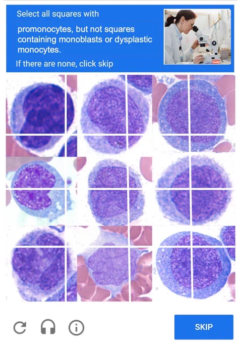Hematopathology image: Arber & Orazi, Modern Pathology 2019