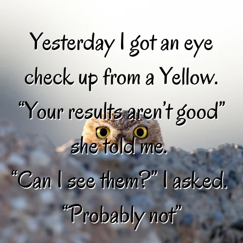 Yellow Eye Check Up
Yesterday I got an eye check up from Yellow. “Your results aren’t good”, she told me. “Can I see them?” I asked. “Probably not”.
Behind the text is a blurry stone wall before a light background, cutting the picture in two horizontally. A tan owl is looking over it, so that just its round, very yellow eyes are visible, looking directly at the camera.