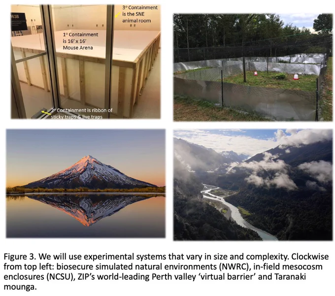 A fantastic team and partners involved in this work:
https://taranakimounga.nz/
https://zip.org.nz/
https://www.islandconservation.org/

