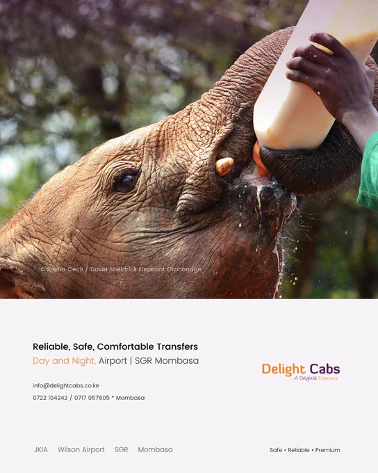 A visit to The David Sheldrick Elephant Orphanage in Nairobi Kenya by Delight Cabs.