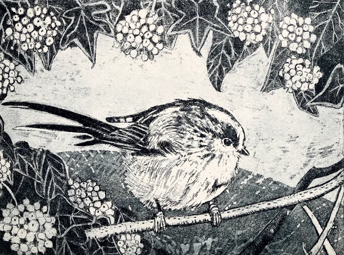 Etching of a long tailed tit on a branch