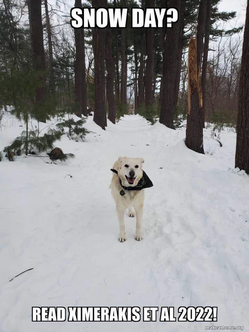 Dog in the snow with trees behind. Text on poster.