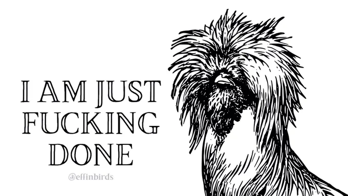 A woodcut of a chicken beside the text "I AM JUST FUCKING DONE"