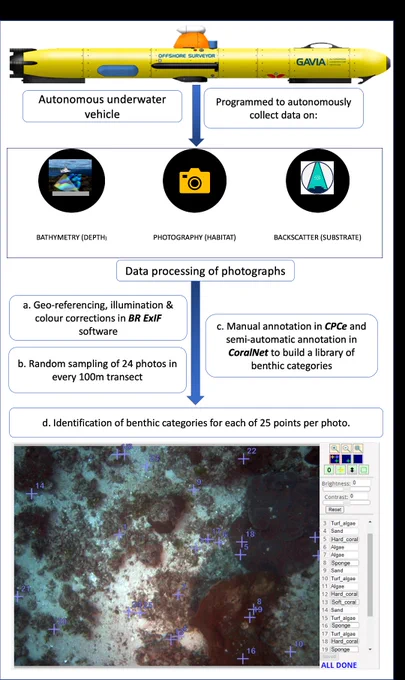 A graphic showing the autonomous underwater vehicle, data collected, data processing steps and a sample of processed image.