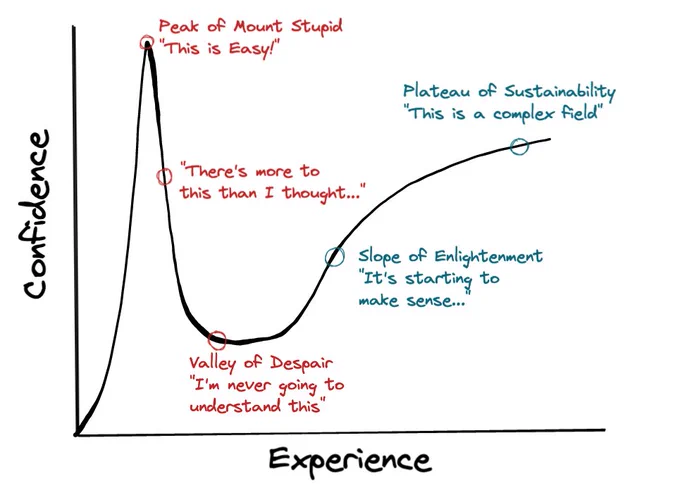 Picture of the Dunning-Kruger effect as a graph: Confidence on one axis and Experience on the other axis.

1. Confidence high, experience low: "Peak of Mount Stupid - 'This is easy!'"
2. A sharp drop in confidence: "There's more to this than I thought..."
3. Experience low-ish, confidence low: "Valley of Despair - 'I'm never going to understand this"
4. Confidence middle, experience middle: "Slope of Enlightenment - 'It's starting to make sense...'"
5. Confidence high, experience high: "Plateau of Sustainability - 'This is a complex field'"