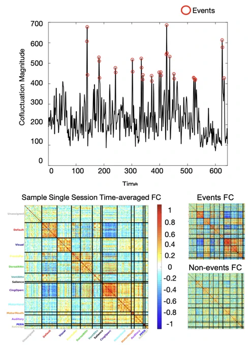 "Events' are moments in BOLD signal with especially high cofluctuation. They show strong representations of static FC network structure.