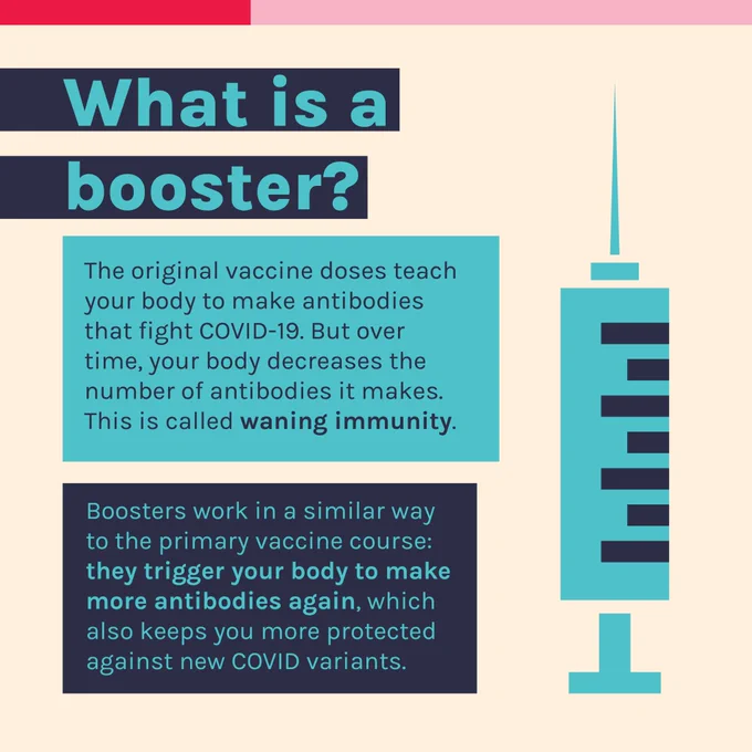 What is a booster? The original vaccine doses teach your body to make antibodies to fight COVID-19. But over time, your body decreases the number of antibodies it makes. This is called waning immunity.
Boosters work in a similar way to the primary vaccine course: they trigger your body to make more antibodies again, which protects you against new variants.