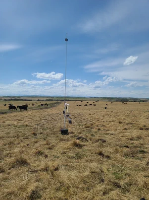 Acoustic sampling station for bats and insects at WA Ranches.