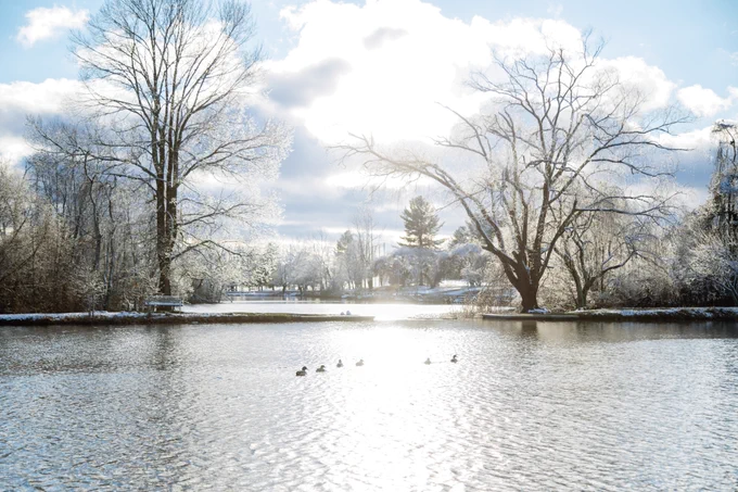 Ducks swim across the surface of the water at the Duck Pond. Snow covers the ground and trees surrounding the water while the sun shines through thick white clouds in they sky.