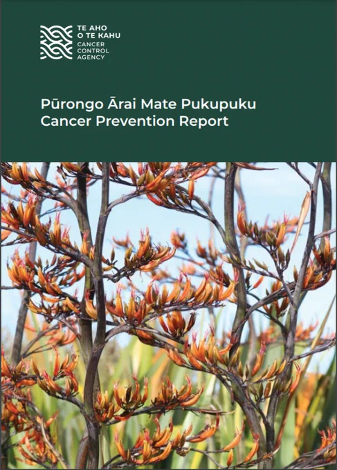 Image of the report cover - with the words Cancer Prevention Report and a close up photo of flowering harakeke (flax) stems.