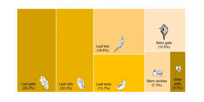 Distribution of the main construct types. Flower and fruit galls were grouped into "Other galls"