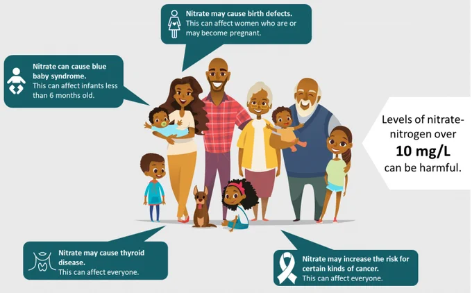 high levels of nitrate (over 10 mg/L) in drinking water can cause blue baby syndrome, birth defects, thyroid disease, and increased risk for certain kinds of cancer.