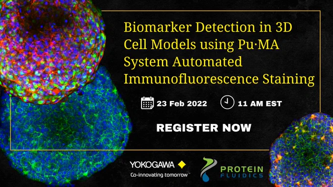 Automated IF Staining using Pu.MA System followed by high content imaging with Yokogawa CQ1. Hands-off workflow!