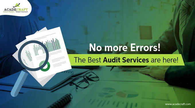Audit Services Provider