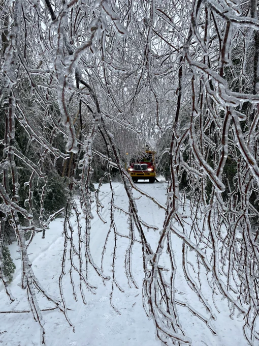 Lucasville, Nova Scotia 2/5/2022  #lucastreeexperts  #icestorm2022