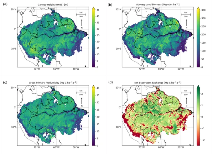 Maps of mean canopy height (RH95) in m (a), mean aboveground biomass (AGB) in Mg odm per ha (b), mean gross primary productivity (GPP) in Mg C per ha per year (c), and net ecosystem exchange (NEE) in Mg C per ha per year (d). The 1 km2 resolution was aggregated to 20 × 20 km2 resolution for visualization.

Image and caption provided by the authors, Bauer and others (2021).