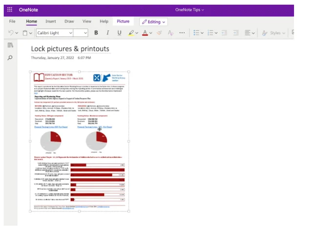 Picture of new OneNote web feature