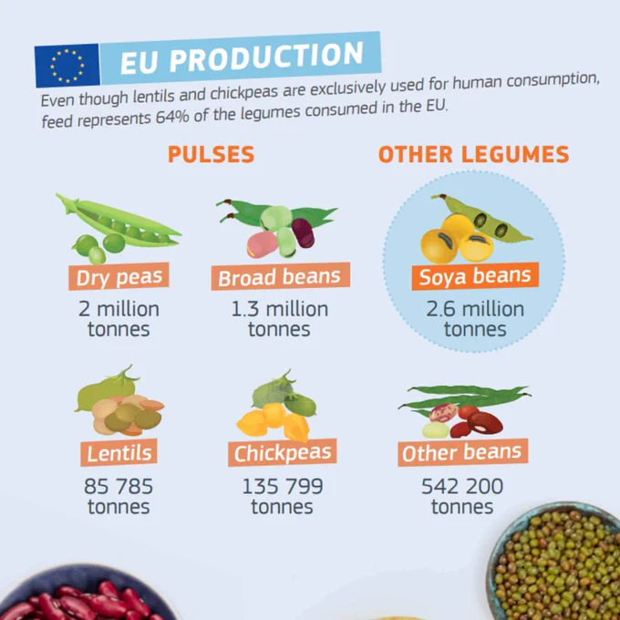 Image showing EU production of pulses: 2 million tonnes of dry peas, 1.3 of broad beans, 2.6 of soya beans, 85 thousand tonnes of lentils, 135 thousand of chickpeas, 542 thousand of other beans.