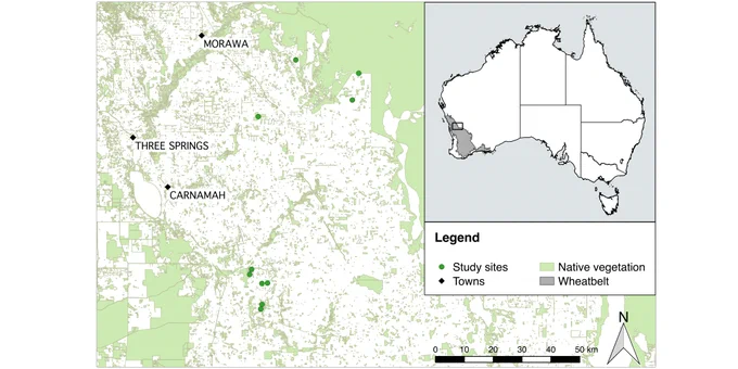 Map showing study location in the northern wheatbelt of south-western Australia