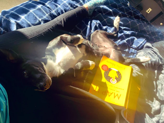Cheyenne the dog lies between my legs as I read Map It book, looking up at me with curiosity
