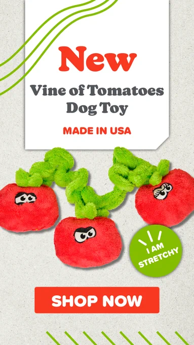 Vine of Tomatoes Dog toy