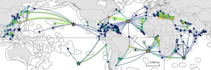 Sea turtle network analysis, https://onlinelibrary.wiley.com/doi/10.1111/ddi.13485